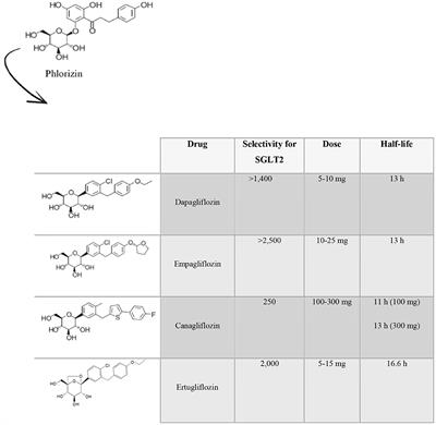 Sodium-Glucose Co-transporter-2 Inhibitors and Nephroprotection in Diabetic Patients: More Than a Challenge